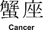 Cancer Kanji JDM Racing | Die Cut Vinyl Sticker Decal | Blasted Rat Discount