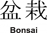 Bonsai Kanji JDM Racing | Die Cut Vinyl Sticker Decal | Blasted Rat For Discount