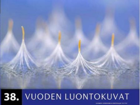 Vuoden Luontokuvat 2018 For Sale